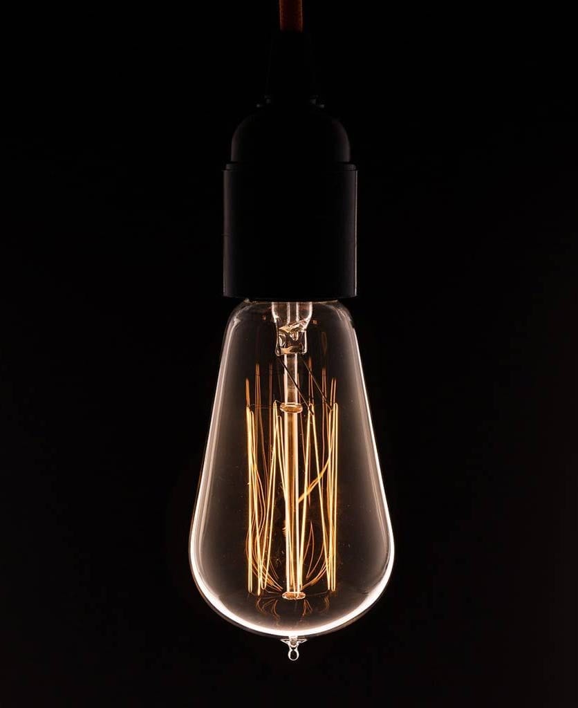 pear squirrel cage filament vintage bulbs against black background