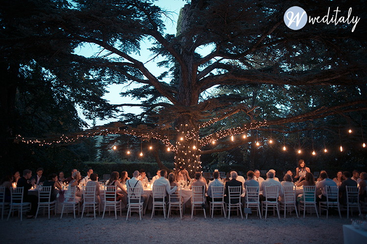 vintage light bulbs suspended from trees outside along the length of a table at a wedding