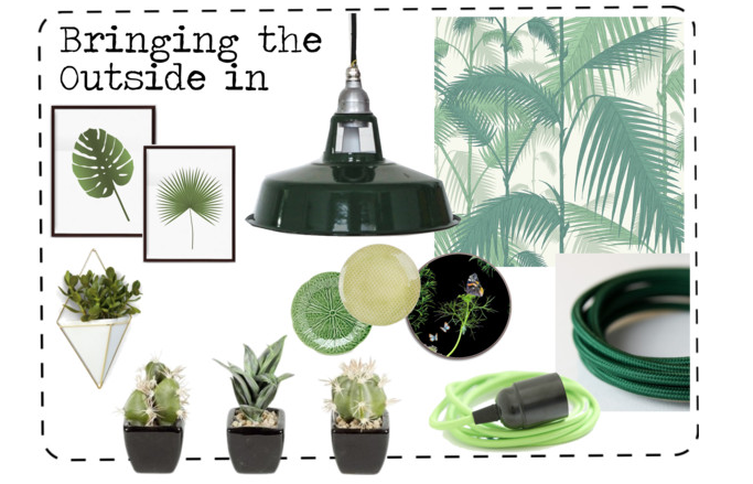 Bringing the Outside in