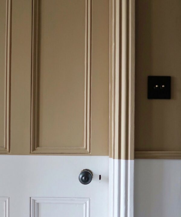 black and gold double toggle switch on a two-tone white and caramel wall