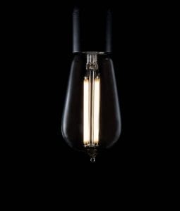 led edison light bulbs with squirrel cage filament against black background