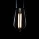 led edison light bulbs with squirrel cage filament against black background