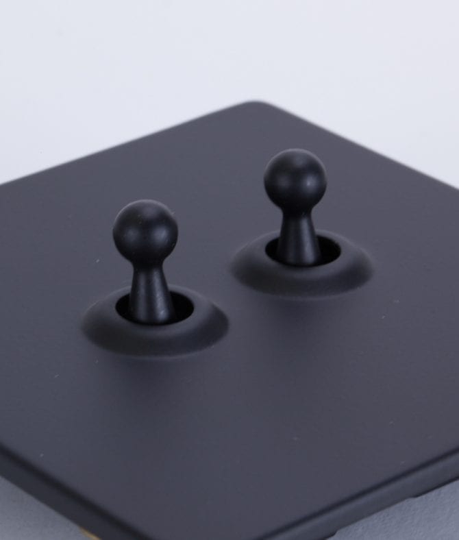 closeup of black and black double toggle switch against white background