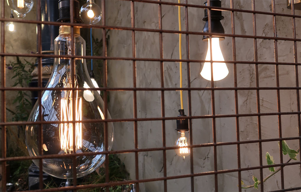 Olympia 100% Design various bulbs suspended against concrete wall