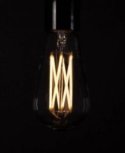 Large pear squirrel cage filament LED warm light bulbs against a black background