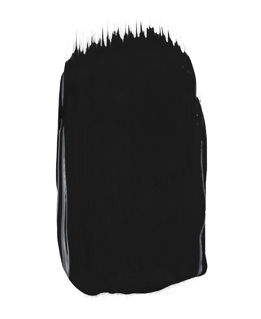 Black paint 2025 swatch