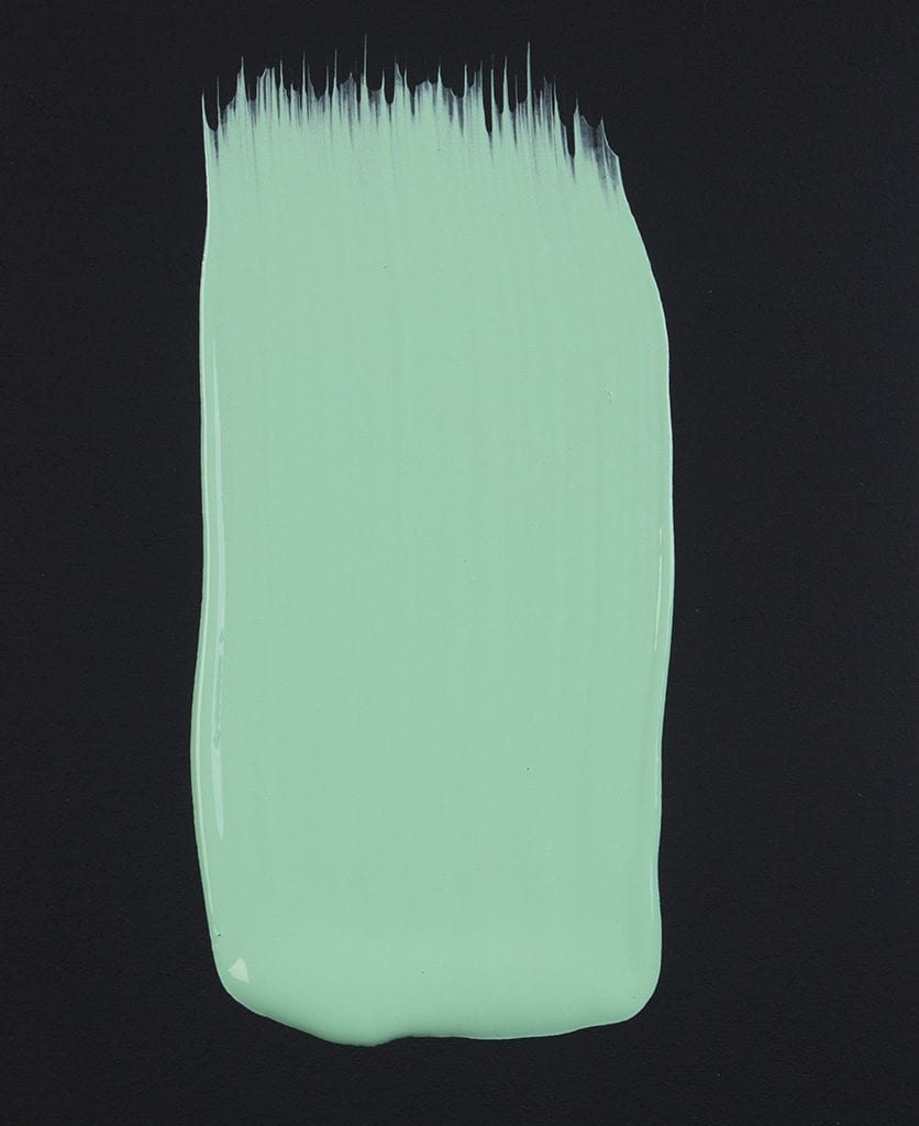 Make A Mint Paint Swatch