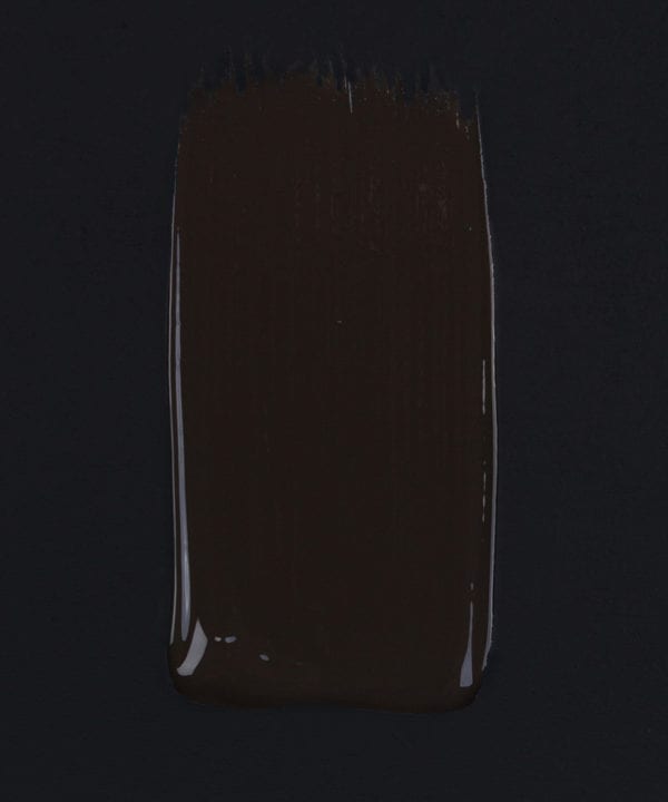 Mud wrestling dark brown paint swatch on dark background