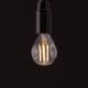 E14 LED bulb with squirrel cage filament against black background