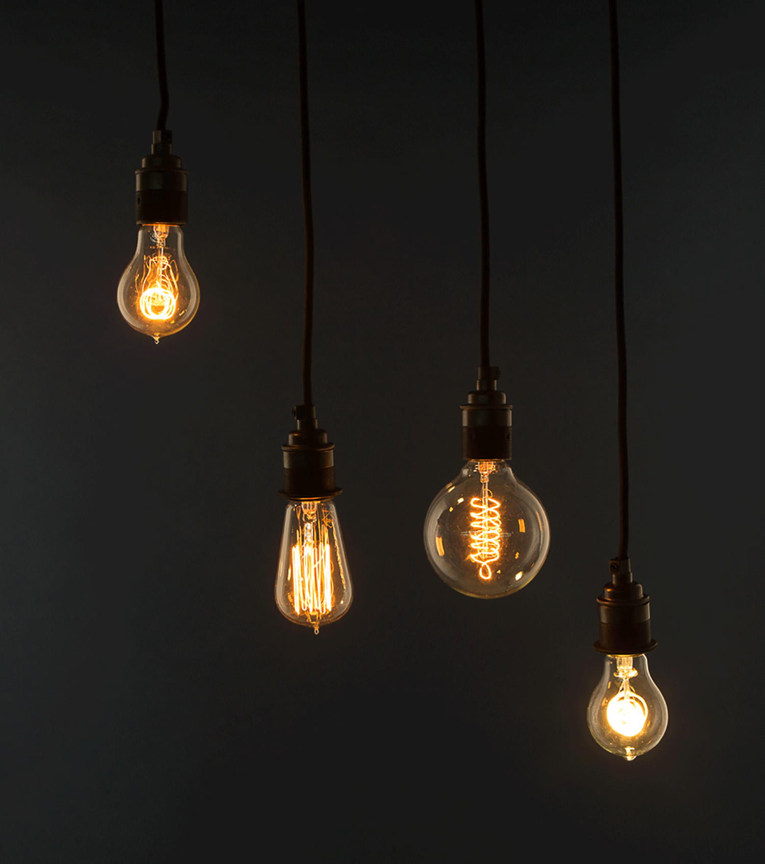 group shot of quad loop, squirrel cage and globe loop filament bulbs suspended against black background