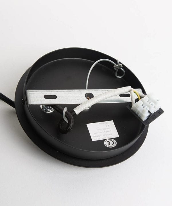 internal view of trikonasana black ceiling rose on white background