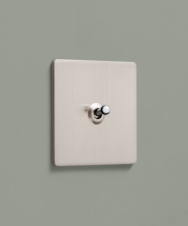 brushed silver 1g single toggle switch or retro dolly switch on a sage green background