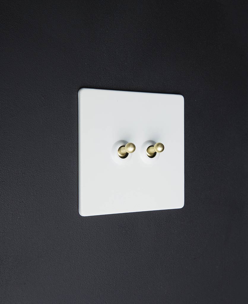 White Double Toggle Switch with Black, White Gold, Silver Toggles
