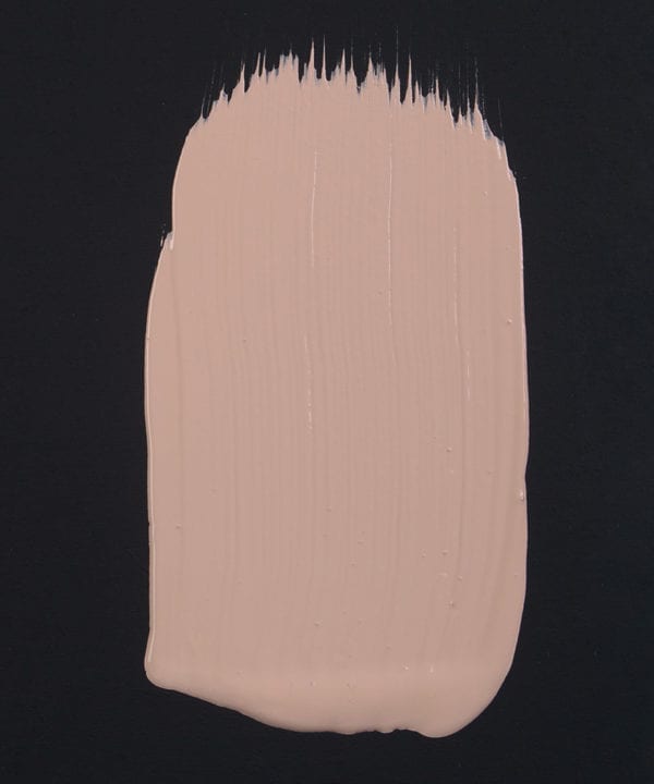 Get plastered dusky pink paint swatch on dark background