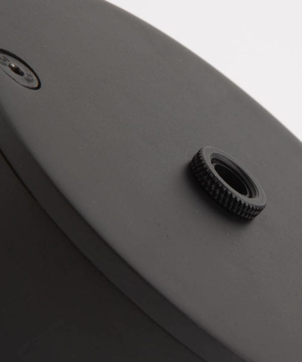 closeup shot of small black ceiling rose against white background