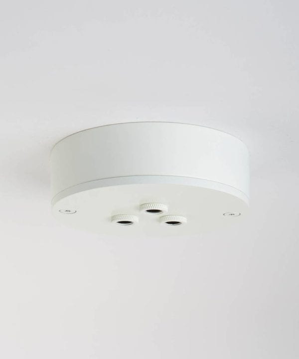 three point white ceiling rose against white background