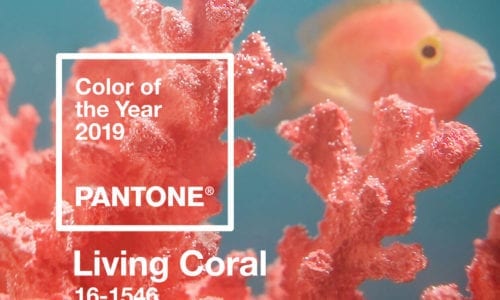 Pantone Colour of the Year