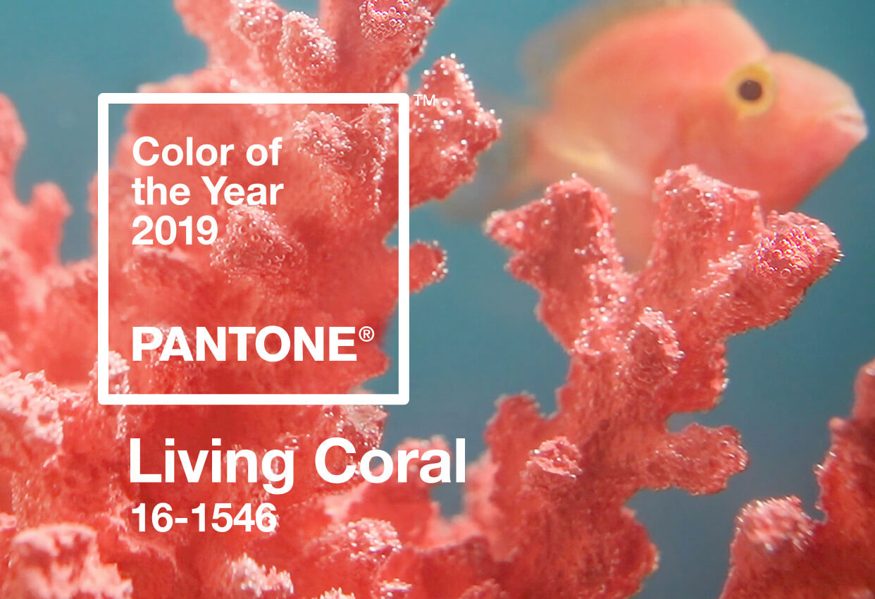 Pantone Colour of the Year