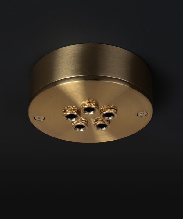 gold 5 point middle ceiling rose on black background