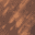 tarnished copper colour swatch