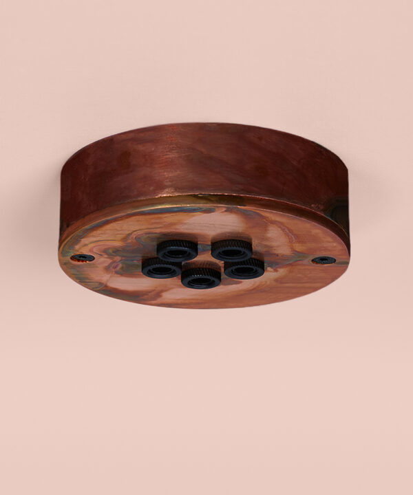 tarnished copper 5 point cluster rose on pink background
