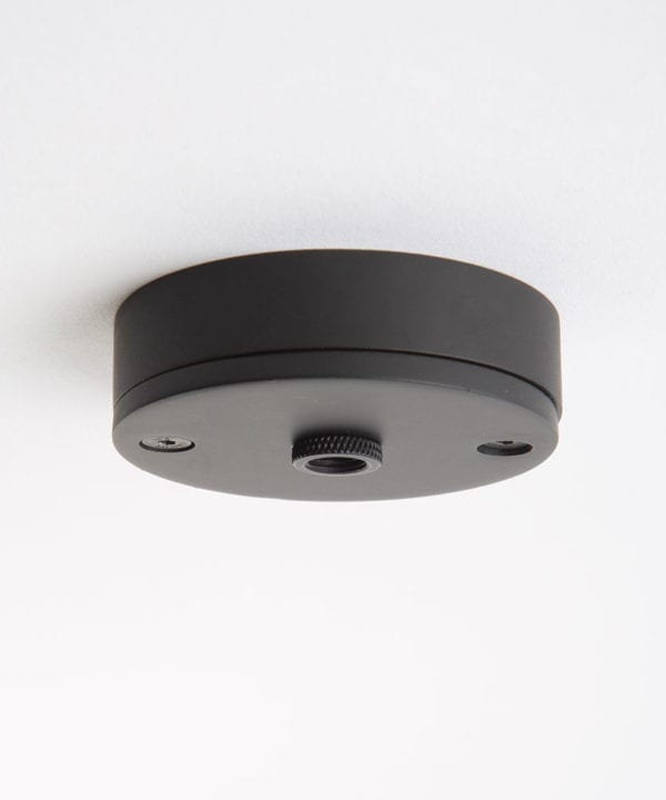 small black ceiling rose against white background