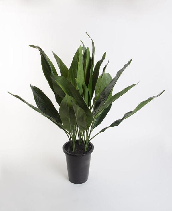 Artificial Aspidistra House Plant for Indoors