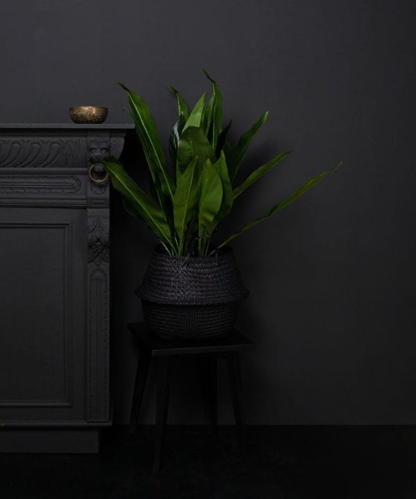 artificial Aspidistra plant in a black pot against a black background