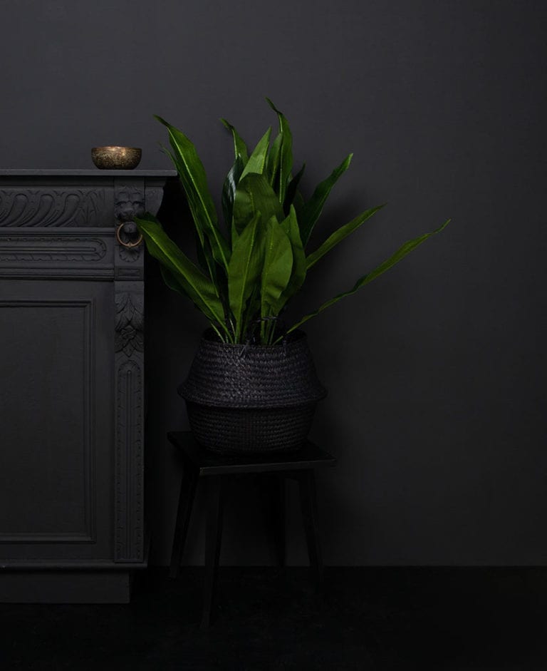 Artificial Aspidistra House Plant for Indoors