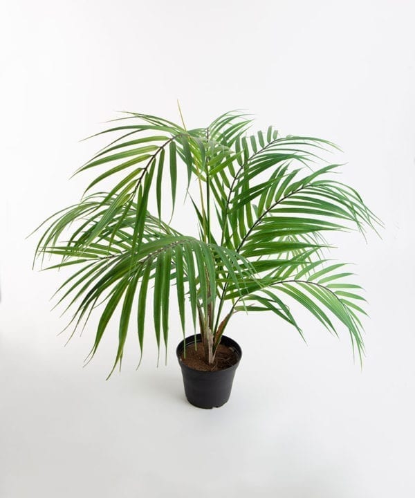 BERGSPALM artificial indoor plant