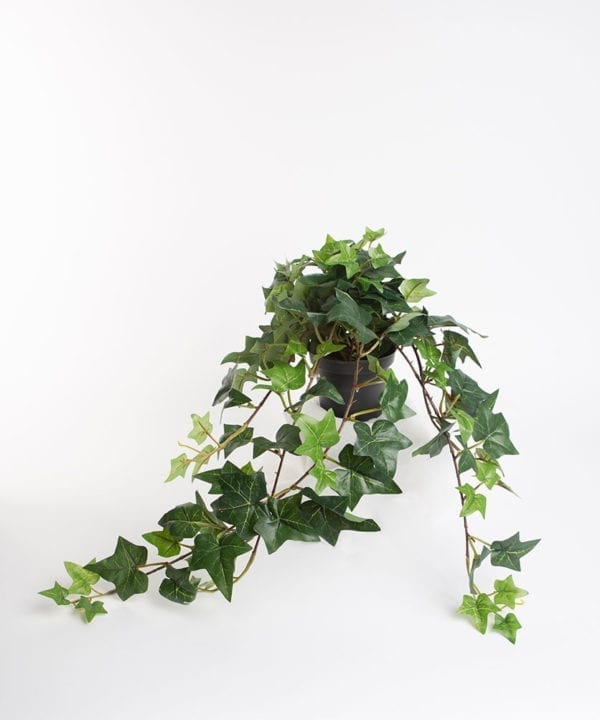IVY artificial trailing plant