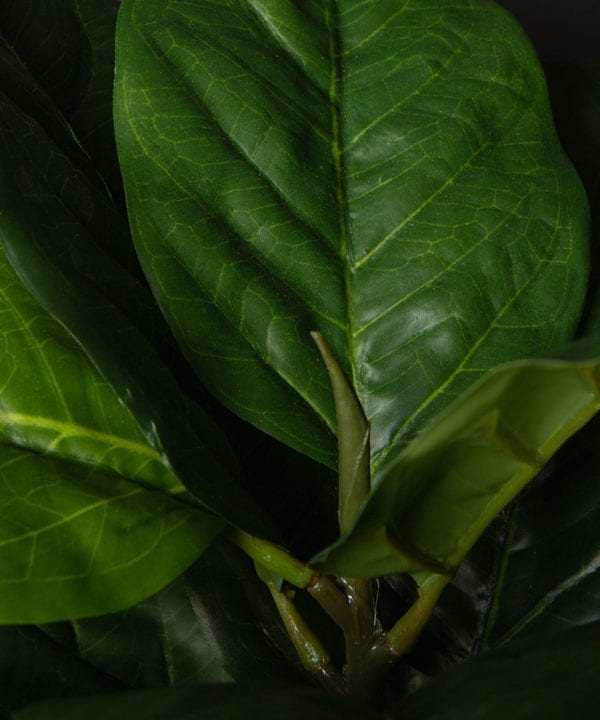 Artificial fiddle leaf fig plant