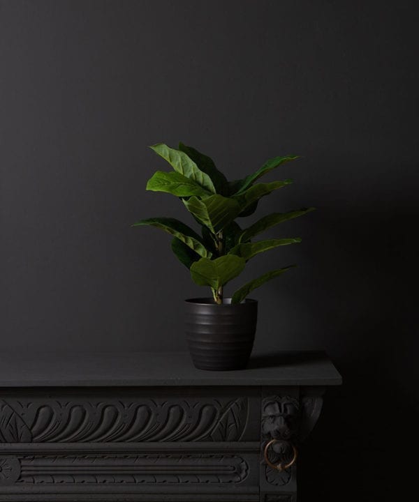 artificial fiddle leaf fig tree against black background