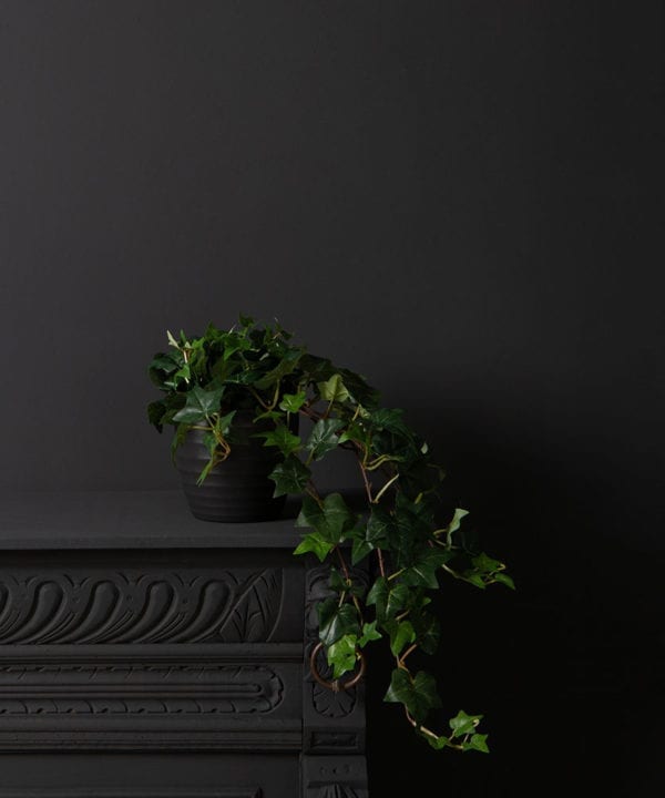 artificial ivy plants - indoor trailing variety in a black pot against a black background