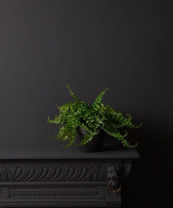 artificial fern plants for indoors in black pot against blackl background