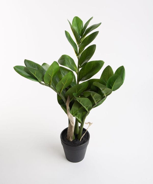 ZAMIFOLIA artificial plant