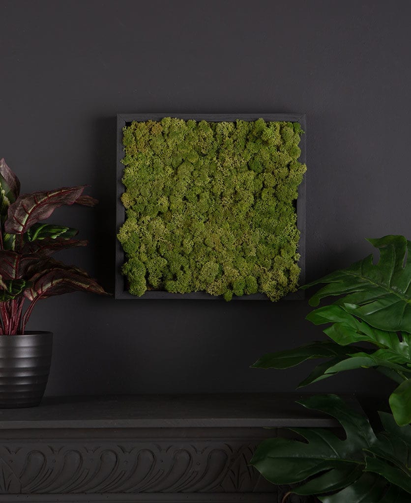 Reindeer moss medium green wall panel