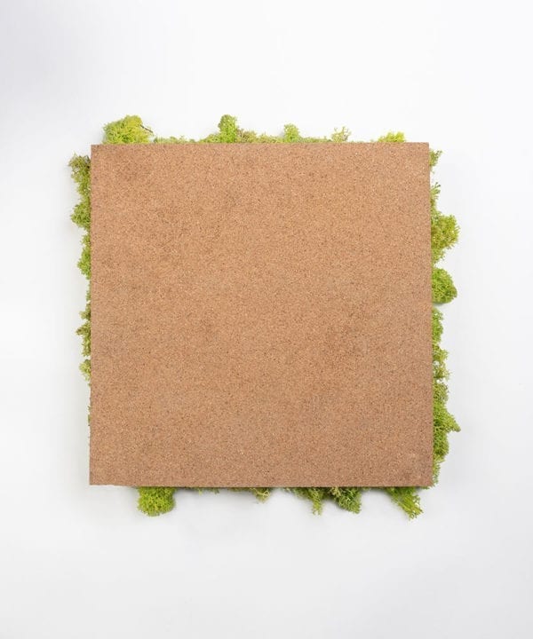 reverse of moss wall panel