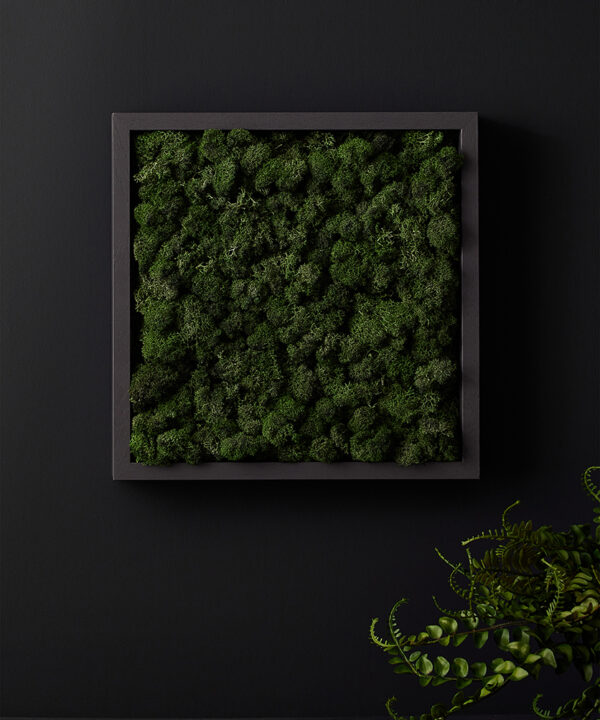 dark green moss panel in dark grey frame against black background