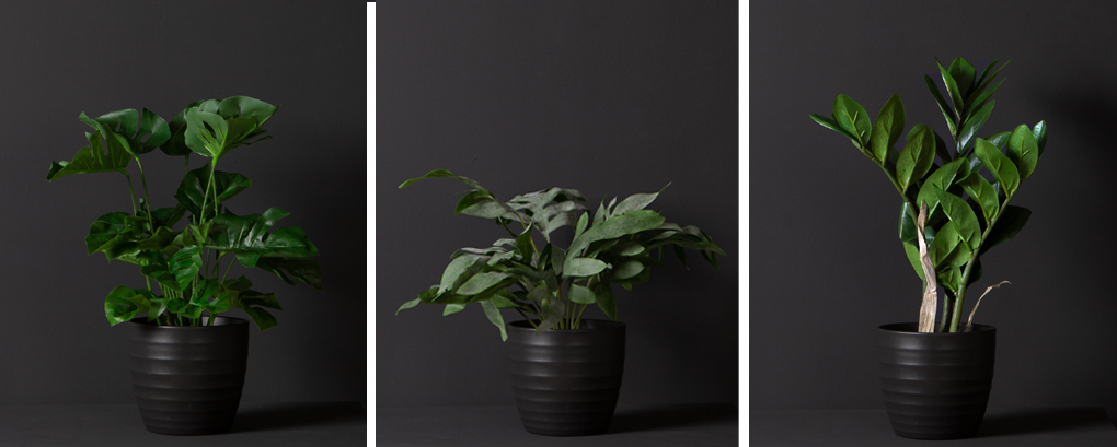 Foliage fake discount