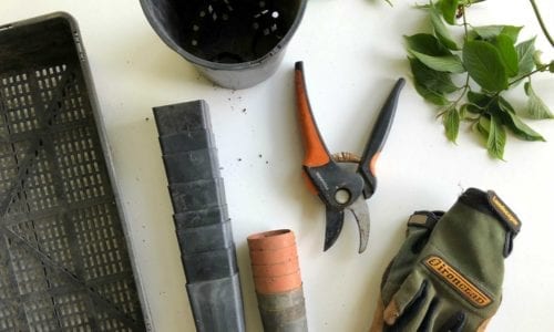 flat lay of gardening gloves, plant pots and garden scissors against white background