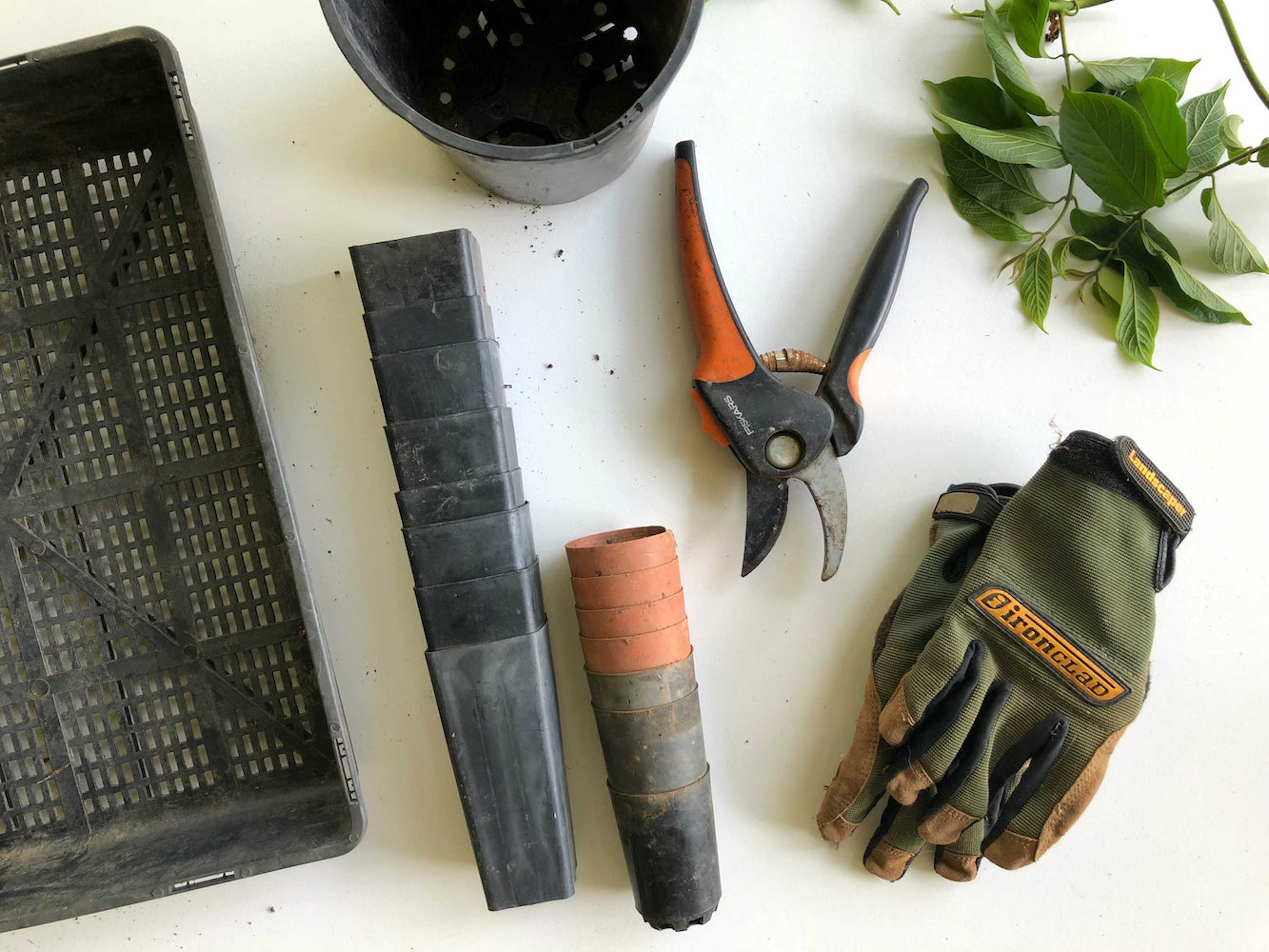 flat lay of gardening gloves, plant pots and garden scissors against white background