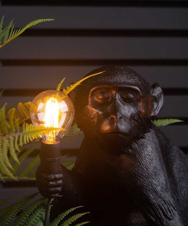 closeup shot of Monty sitting monkey black resin table lamp holding light bulb on black background with faux fern plant