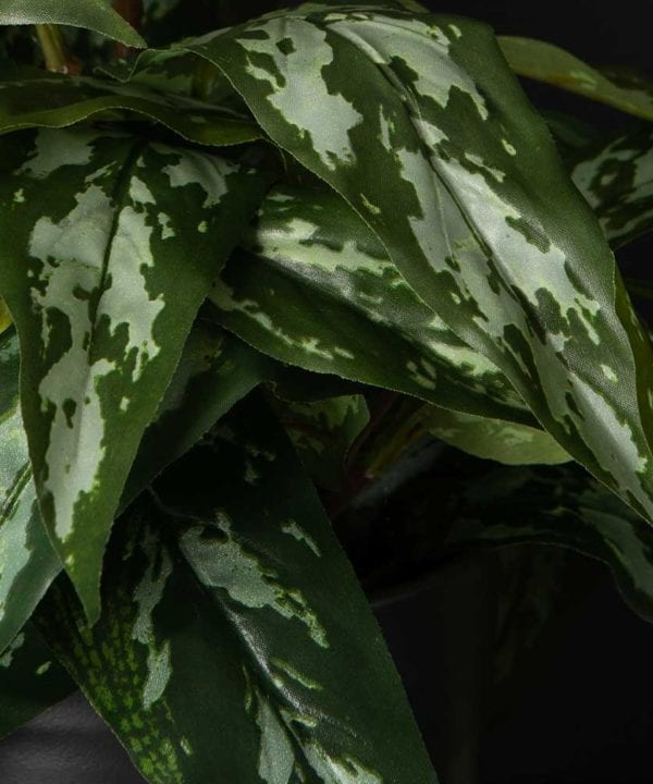 Aglaonema Small Artificial Plant