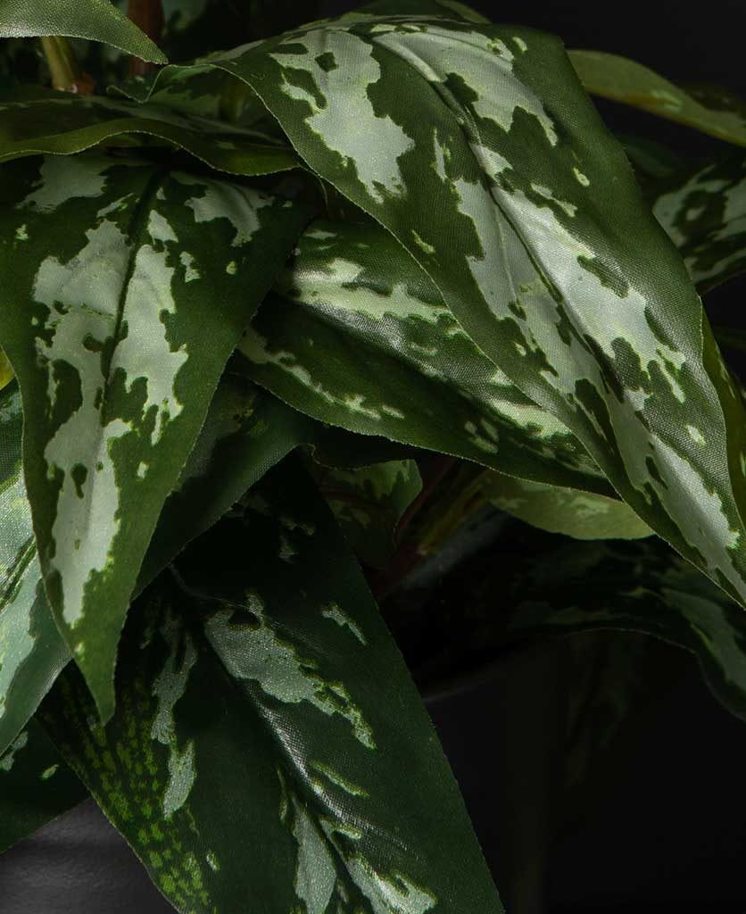 Aglaonema Small Artificial Plant