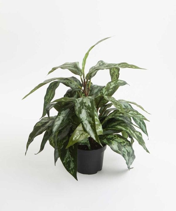 Aglaonema Small Artificial Plant