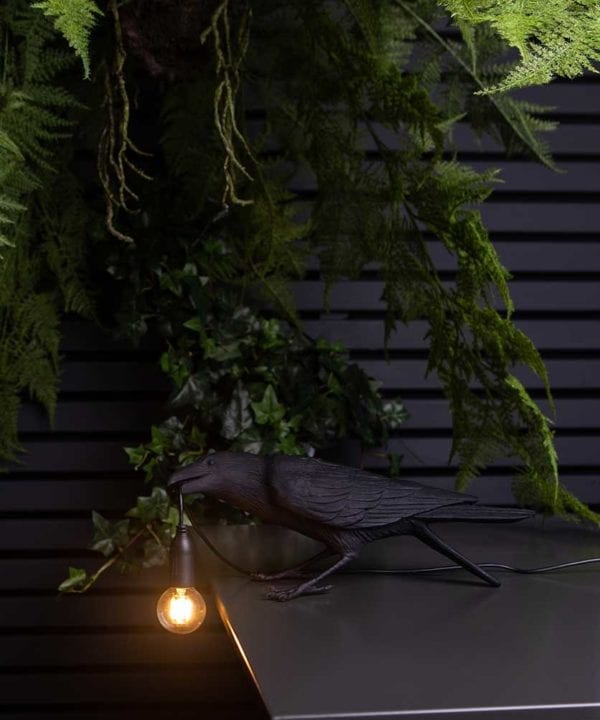 Animal Lamps for Tables & Walls