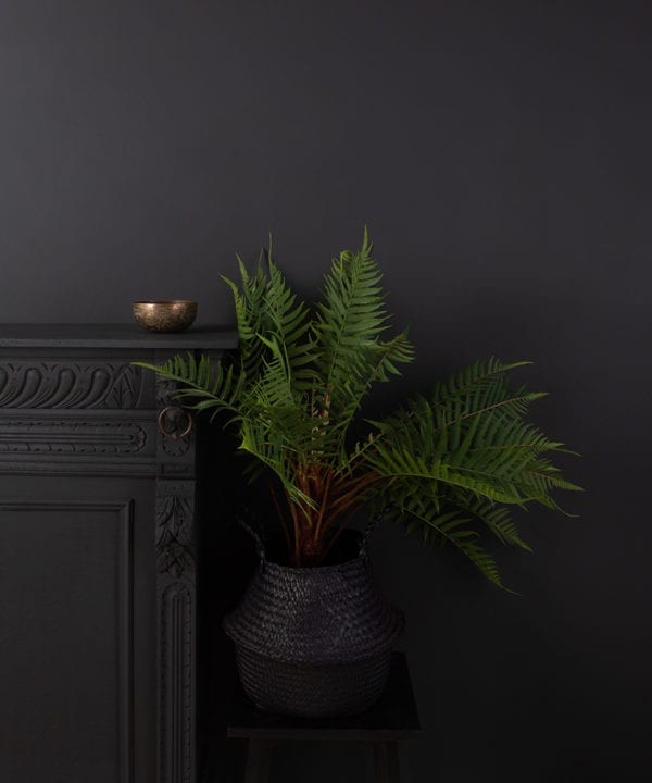 artificial fern in black pot against black wall