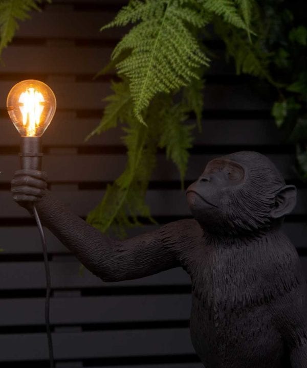 closeup of Buddy standing monkey black resin table lamp holding light bulb on black background with faux fern plant