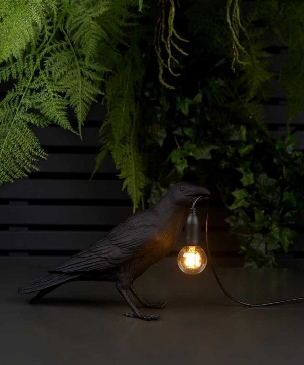 Daphne waiting raven black resin bird lamp holding bulb on black background with artificial plants